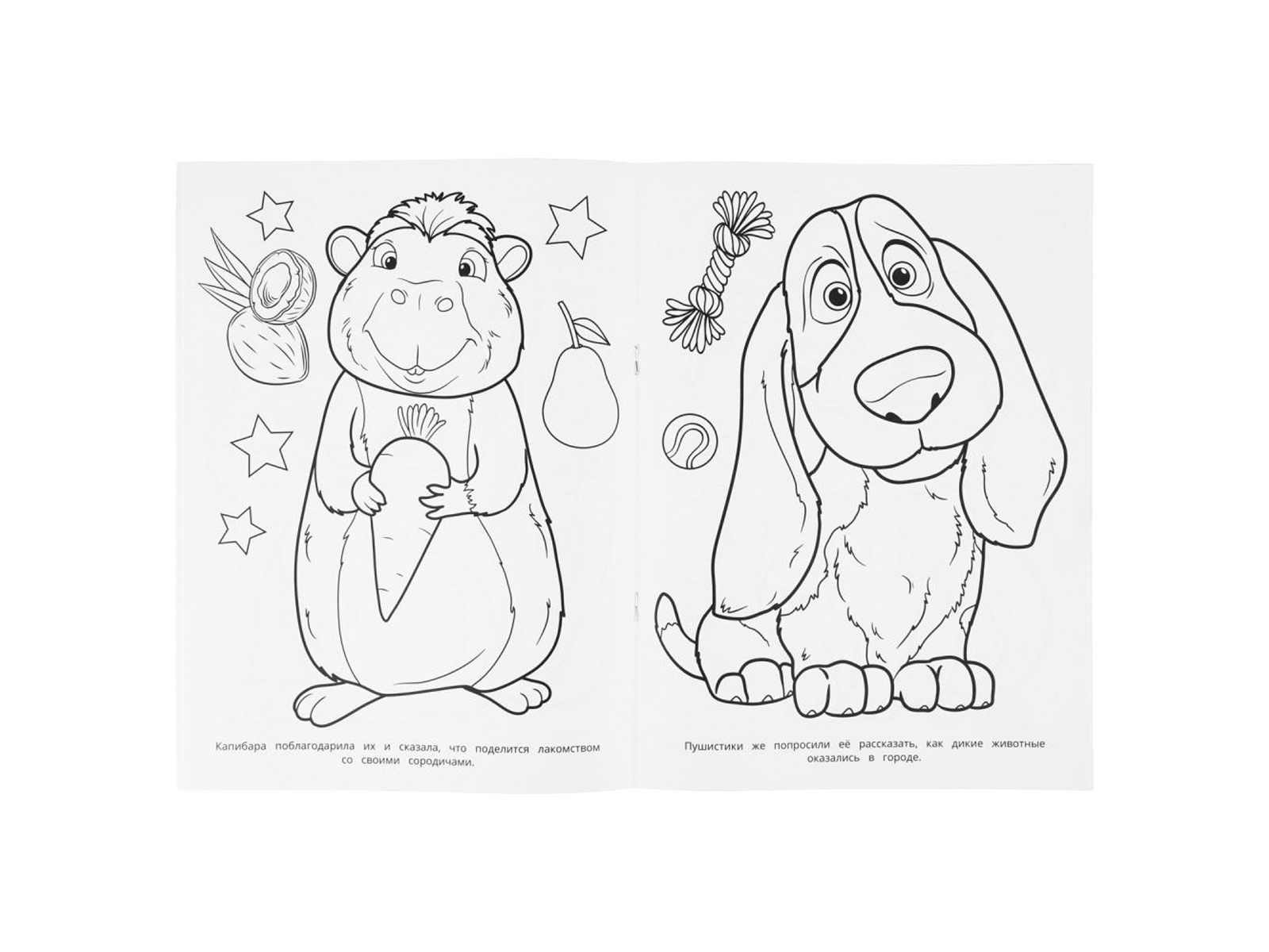 Раскраска &quotУМКА&quot 11378-2, Чудесные гости, 214х290мм 16стр.*50