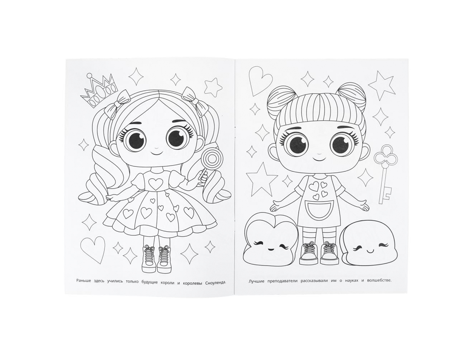 Раскраска &quotУМКА&quot 11381-2, Снежная академия, 214х290мм 16стр.*50