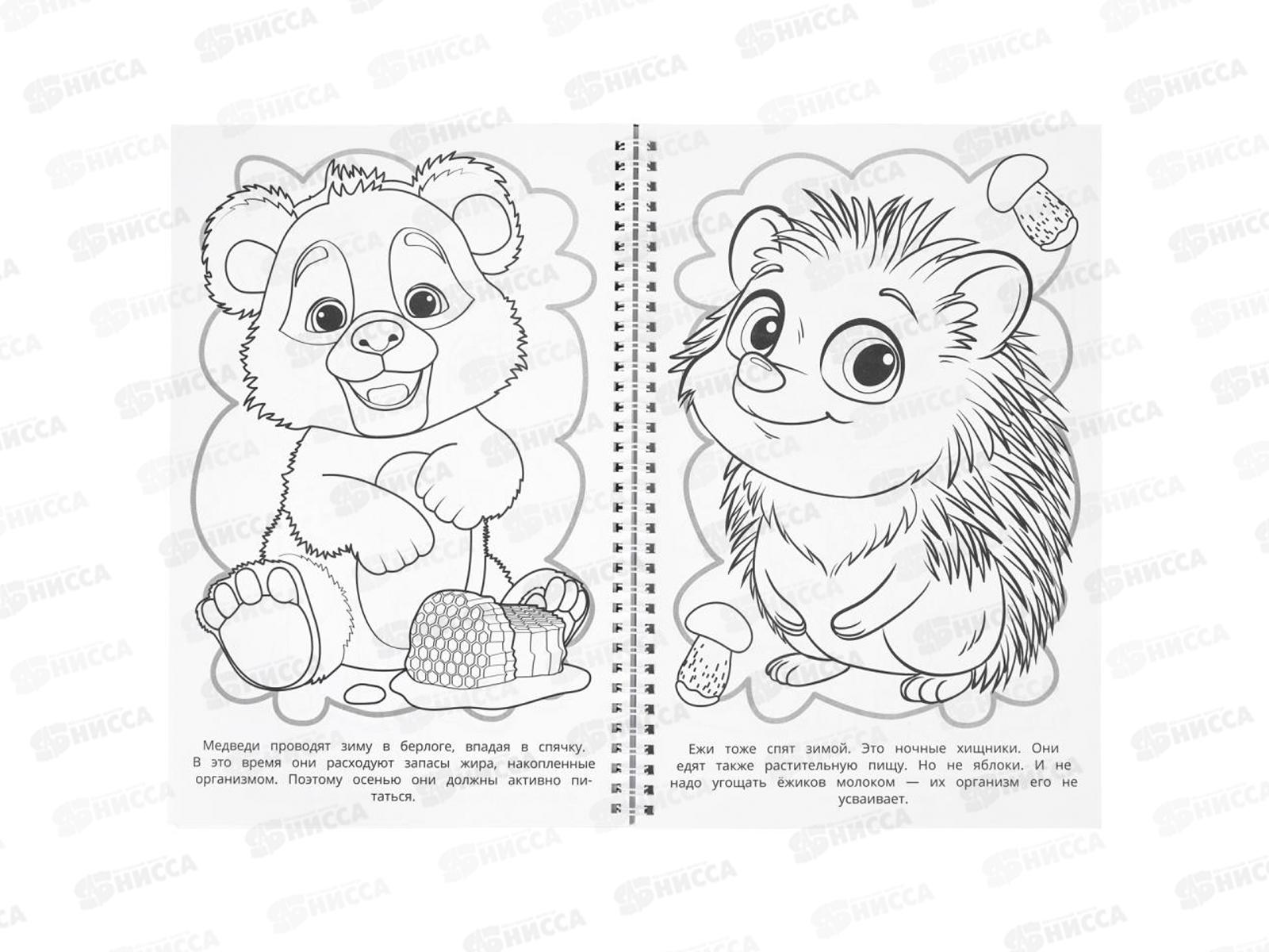 Раскраска &quotУМКА&quot 11339-3, Удивительные животные, 195х295мм 100стр.*25