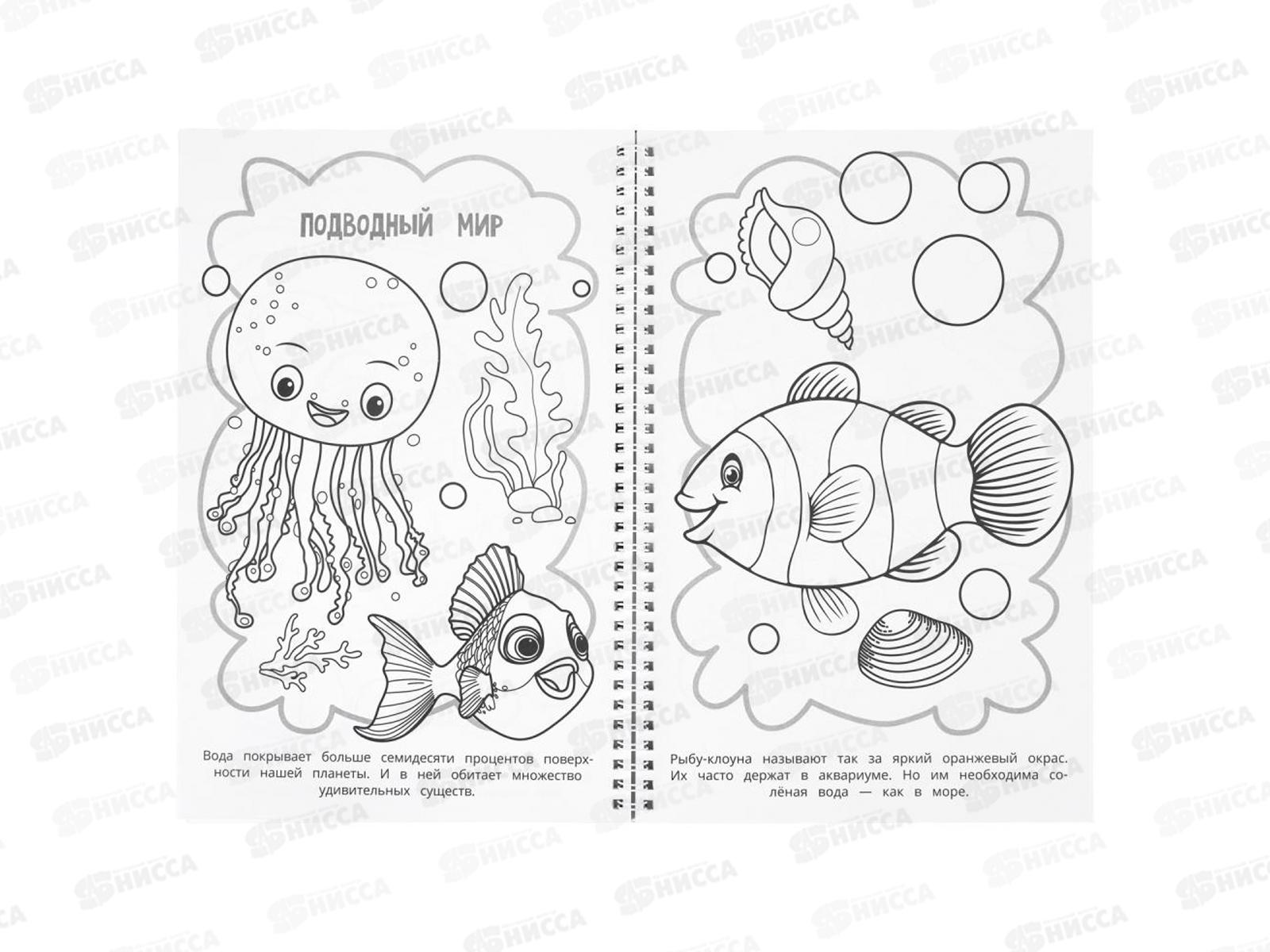 Раскраска &quotУМКА&quot 11339-3, Удивительные животные, 195х295мм 100стр.*25