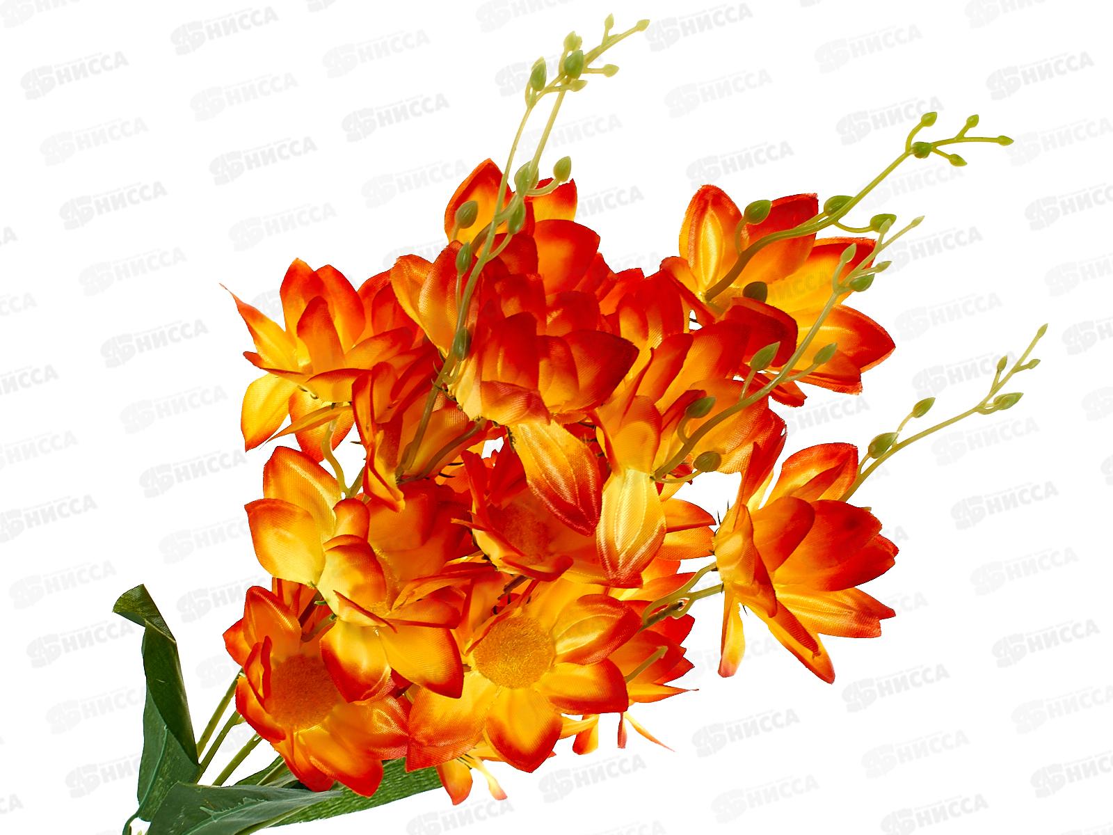 Букет 50см 5 гол №94 микс 81869 *20  Б