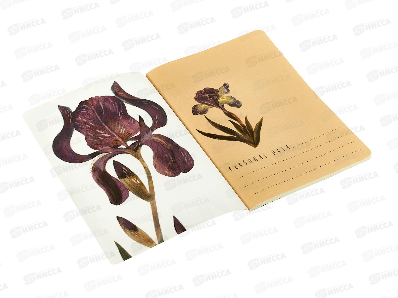 Тетрадь 40л кл. B.V. Flora Ирисы 7-40-001/175*4/64
