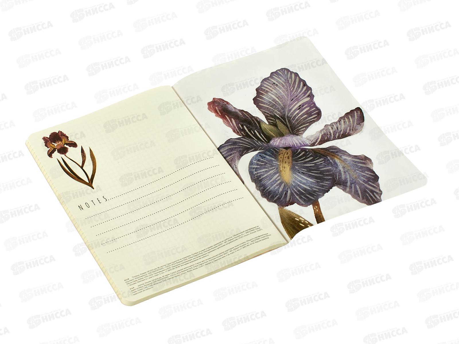 Тетрадь 40л кл. B.V. Flora Ирисы 7-40-001/175*4/64