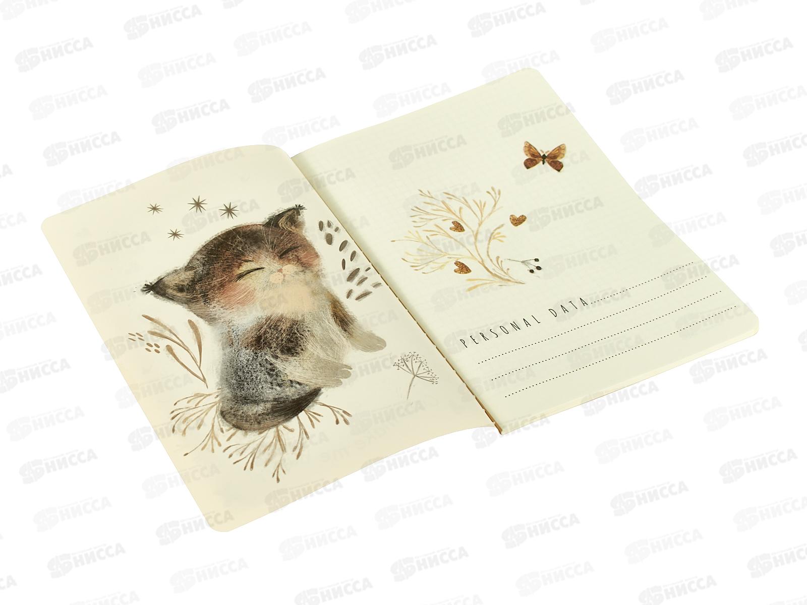 Тетрадь 40л кл. B.V. Love me Милый котенок 7-40-001/192*4/64