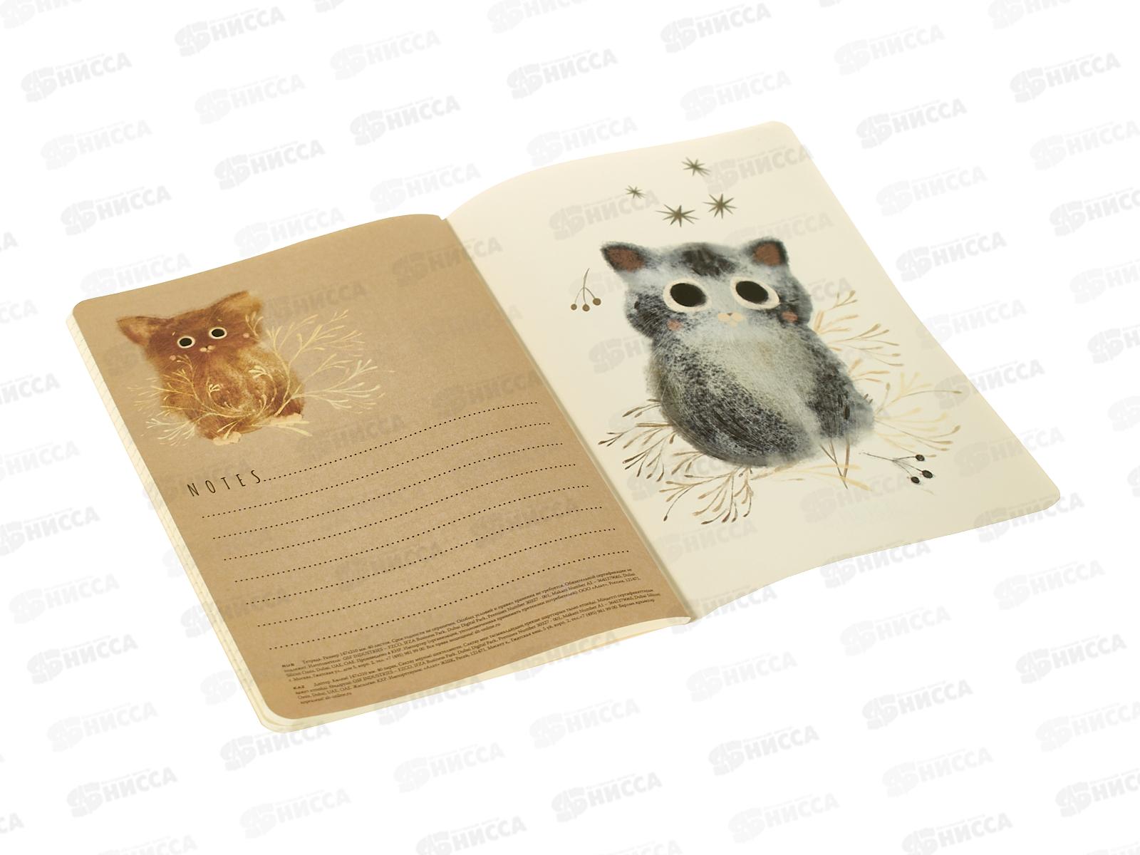 Тетрадь 40л кл. B.V. Love me Милый котенок 7-40-001/192*4/64