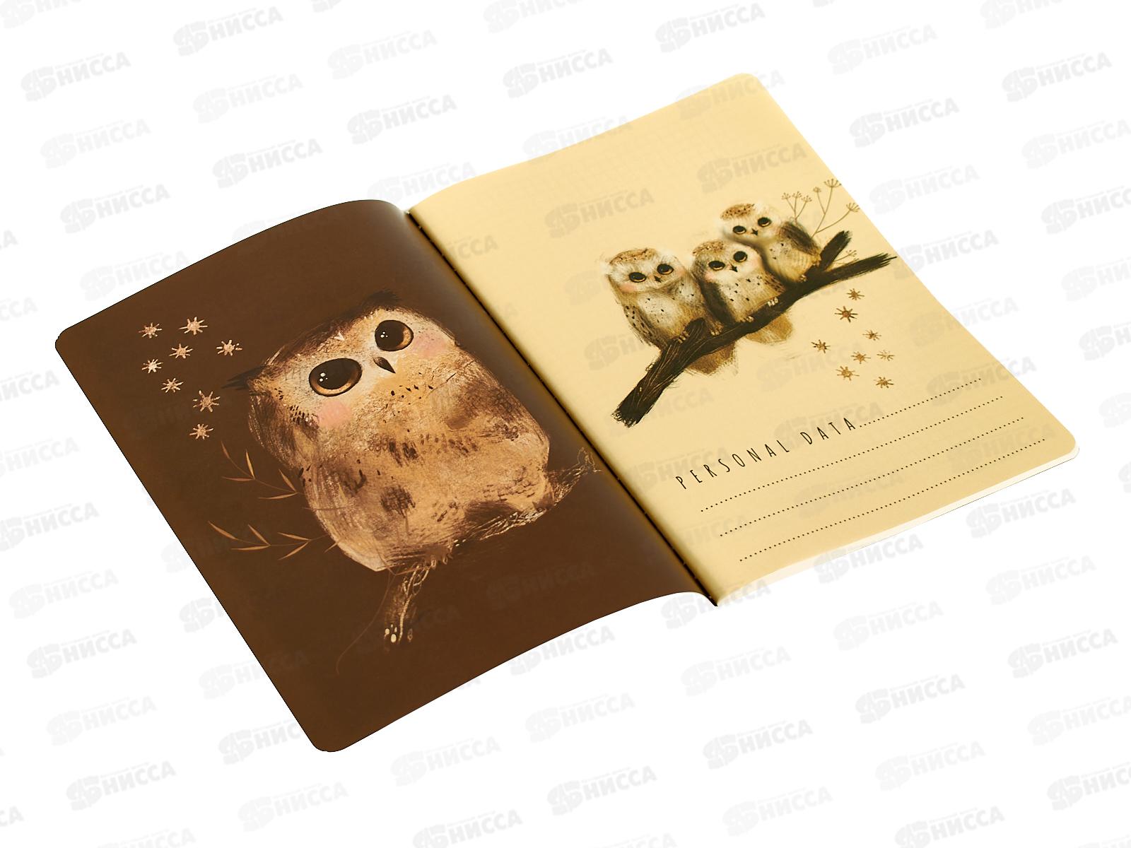 Тетрадь 40л кл. B.V. Love me Милый совенок 7-40-001/207*4/64