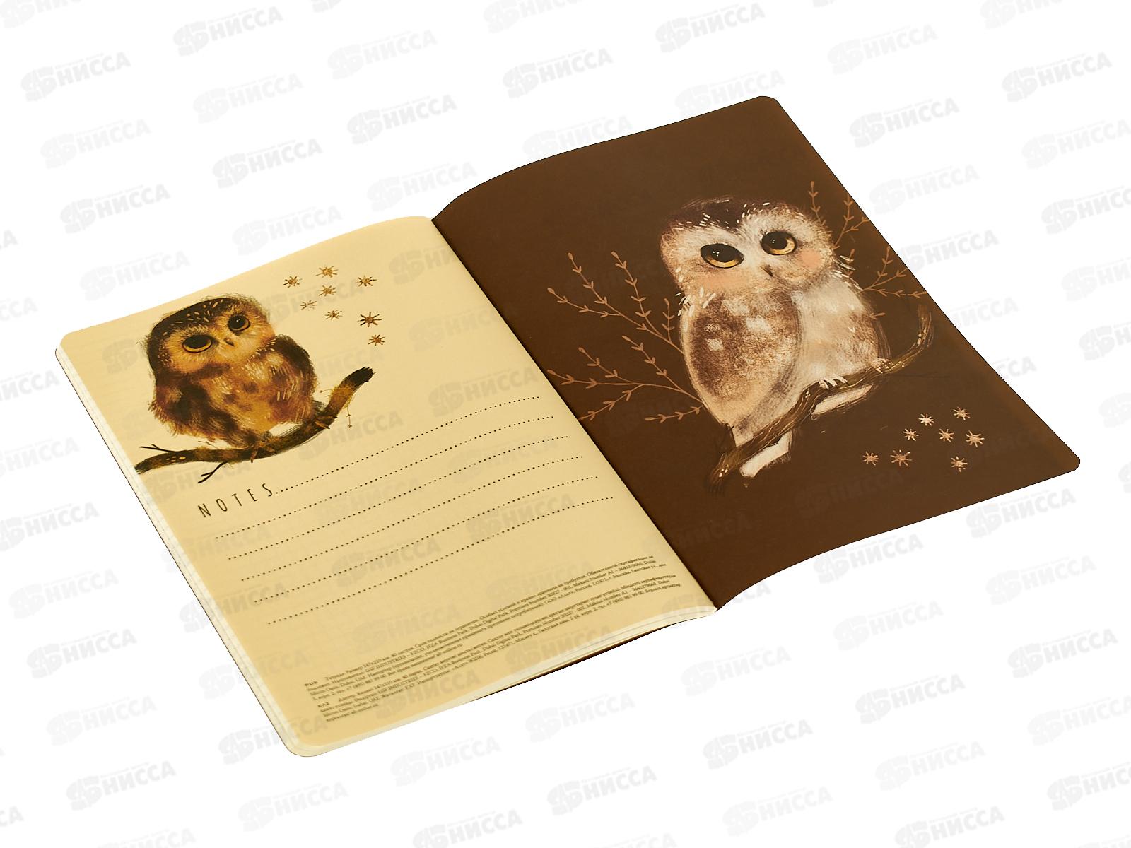 Тетрадь 40л кл. B.V. Love me Милый совенок 7-40-001/207*4/64