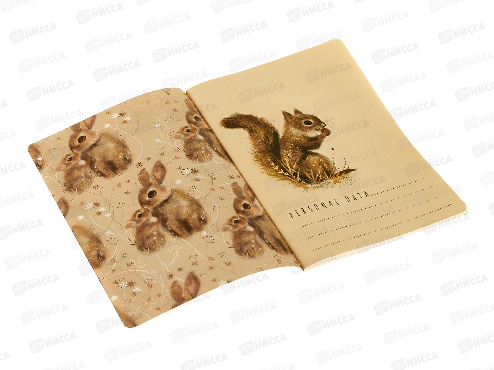 Тетрадь 40л кл. B.V. Love me Милый Зайки 7-40-001/221*4/64