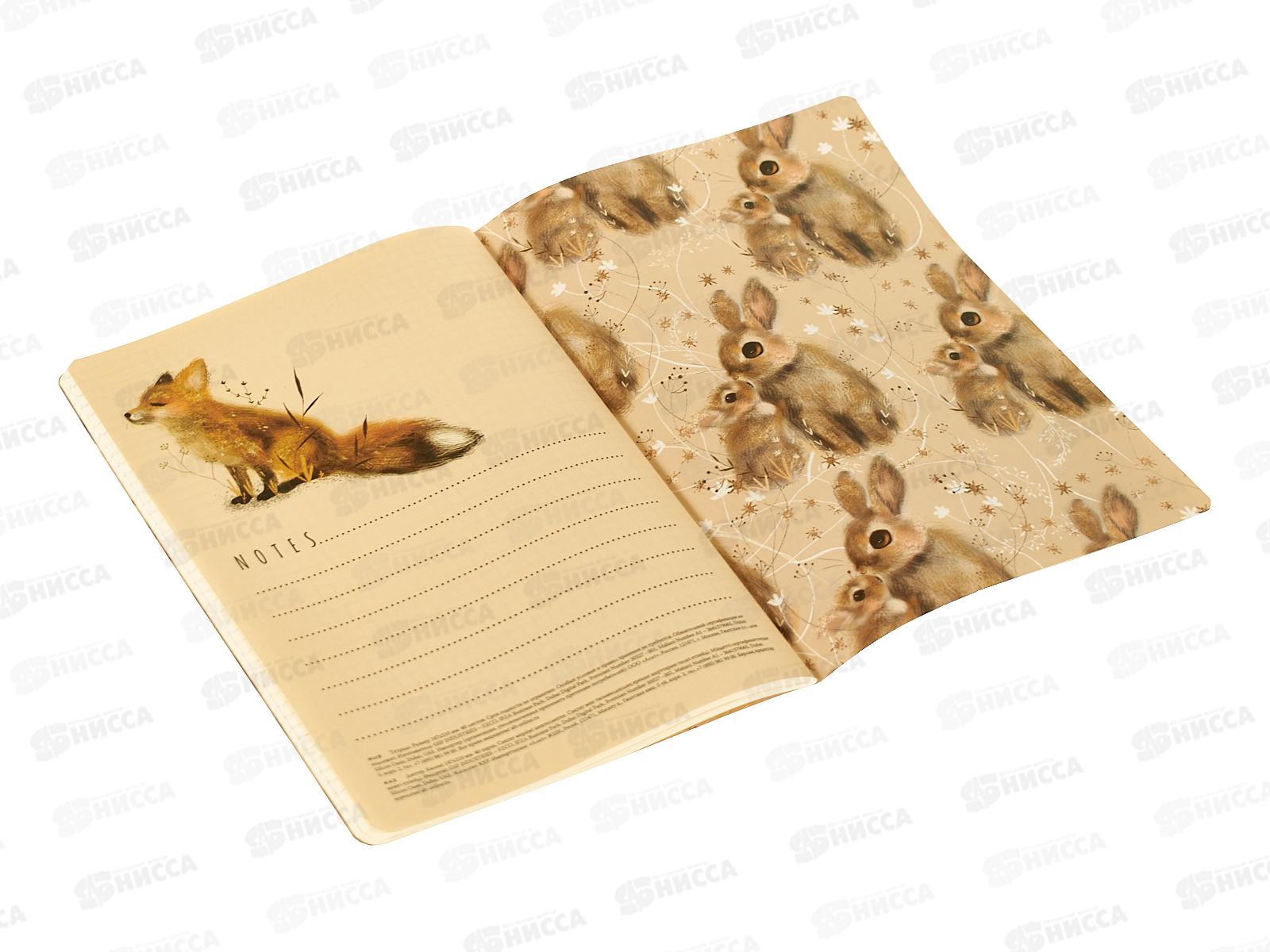 Тетрадь 40л кл. B.V. Love me Милый Зайки 7-40-001/221*4/64