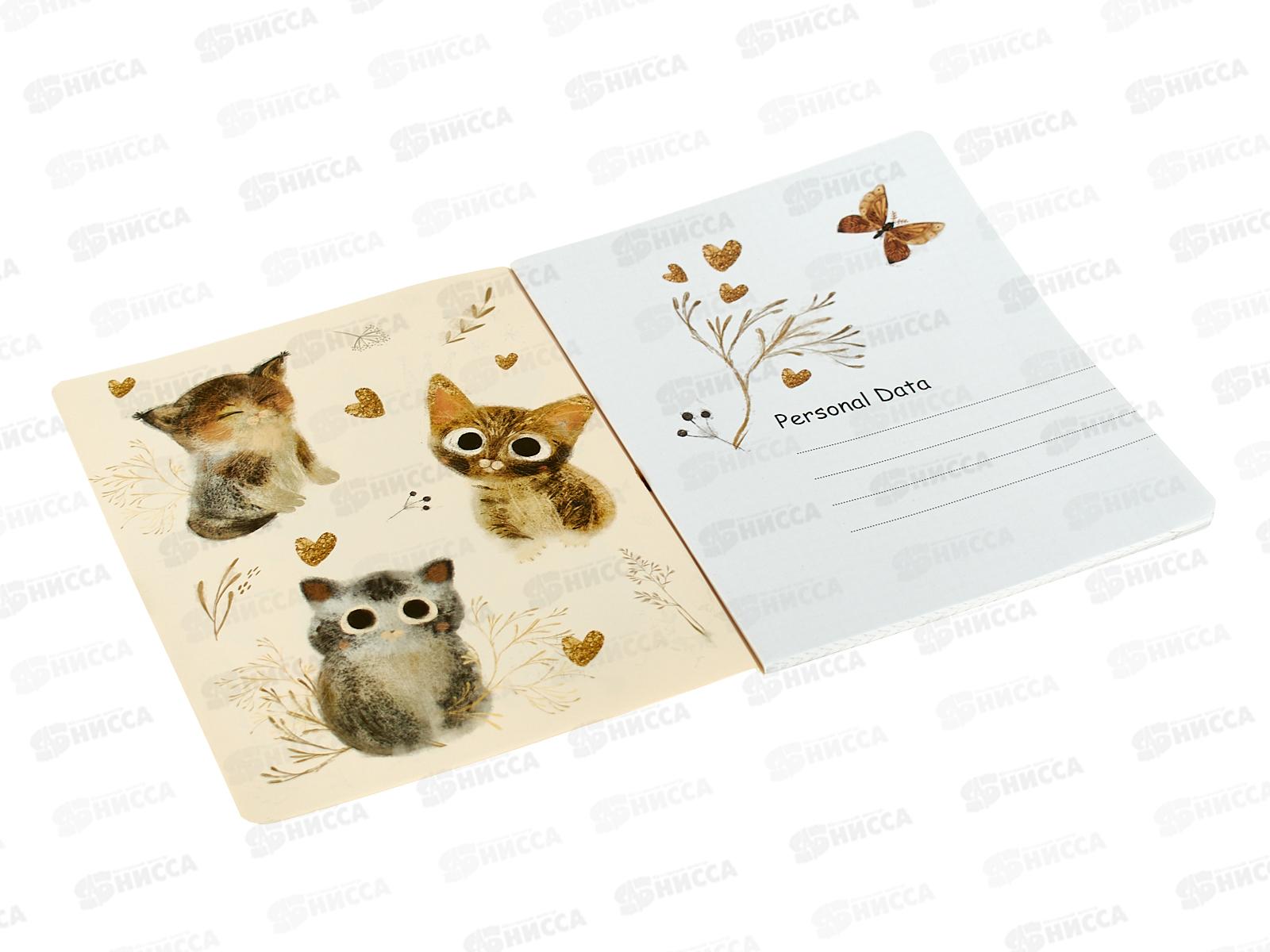 Тетрадь 48л кл. B.V. Love me Любовь как она есть 7-48-1271*4/64