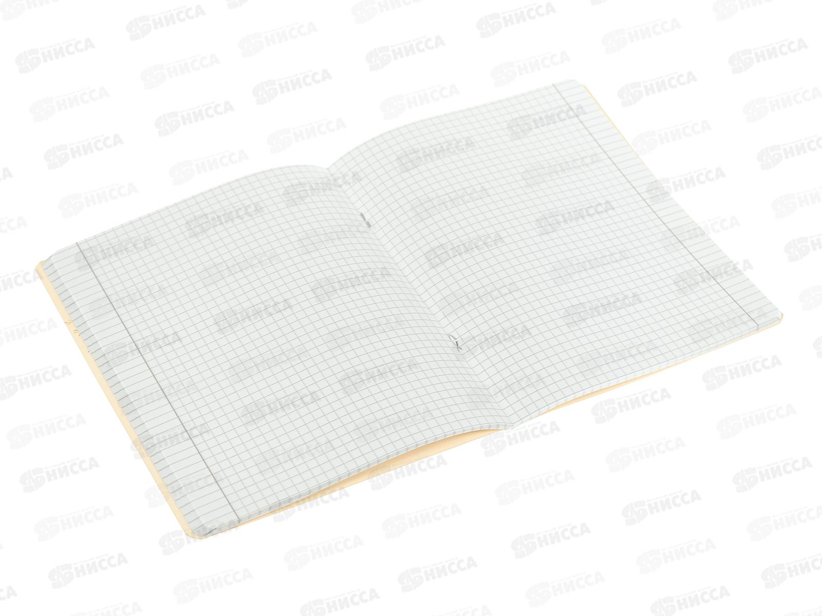 Тетрадь 48л кл. B.V. Love me Любовь как она есть 7-48-1271*4/64