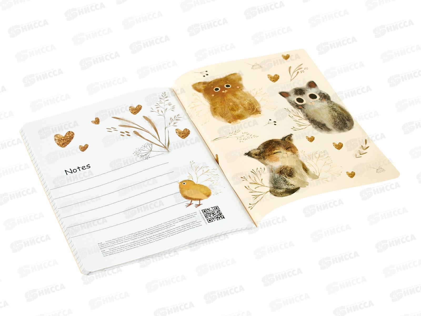 Тетрадь 48л кл. B.V. Love me Любовь как она есть 7-48-1271*4/64