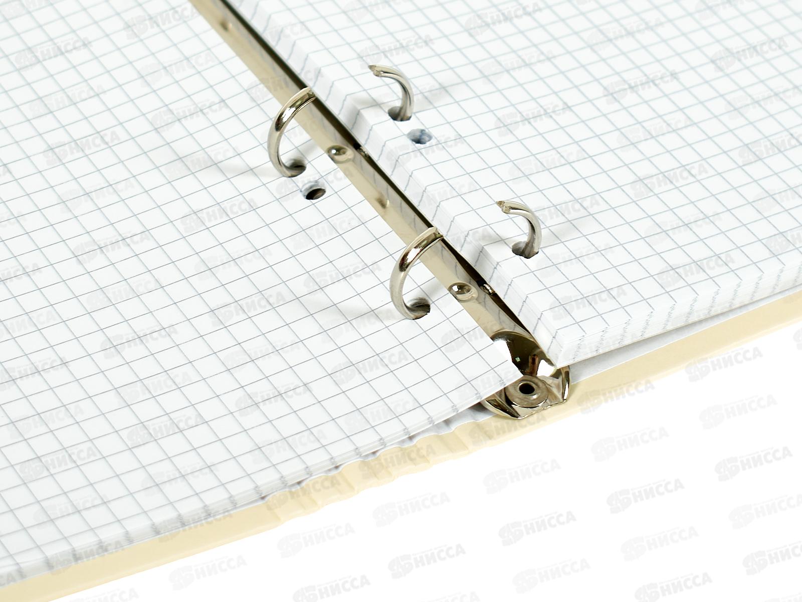 Тетрадь 80л кл. B.V. Love me Милый котик 7-80-081/22*4/64