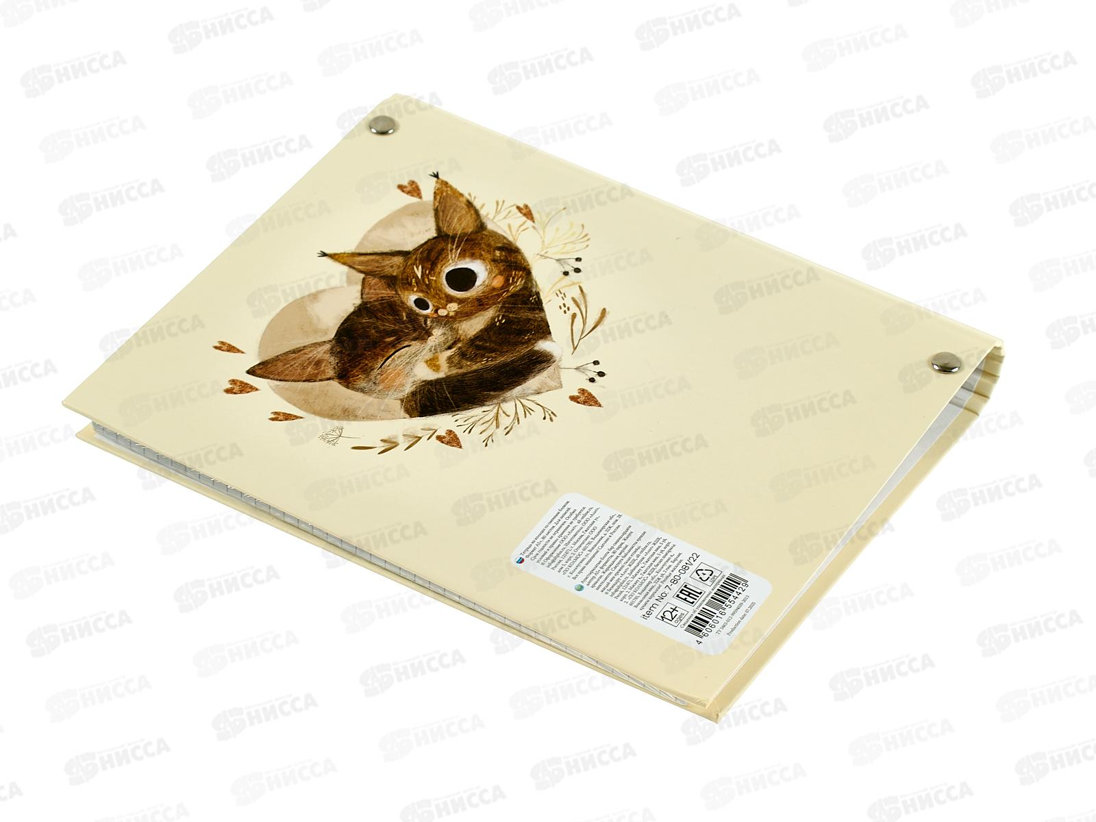 Тетрадь 80л кл. B.V. Love me Милый котик 7-80-081/22*4/64