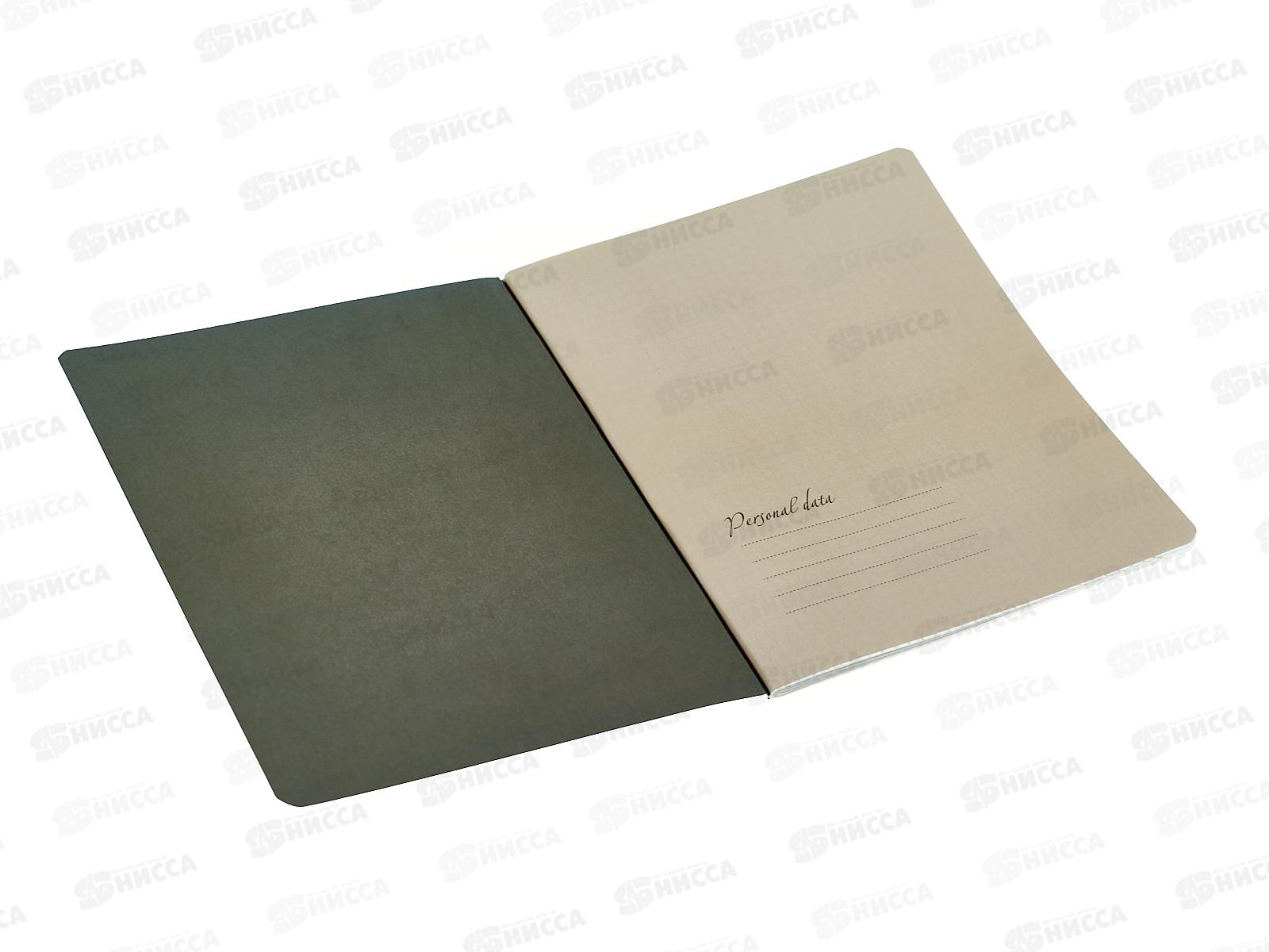 Тетрадь 48л кл. B.V. Total Beige  7-48-1390*4/64