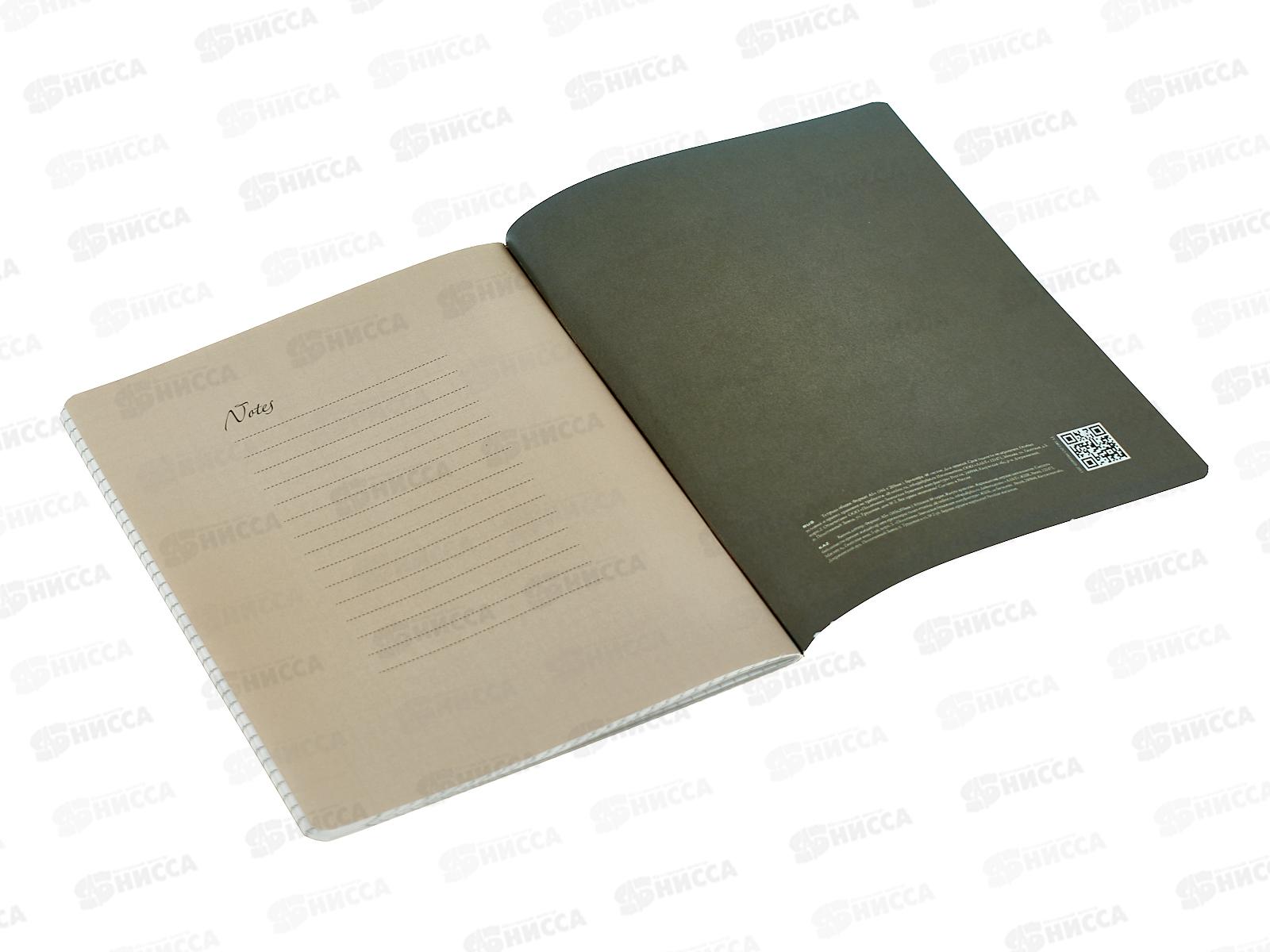 Тетрадь 48л кл. B.V. Total Beige  7-48-1390*4/64