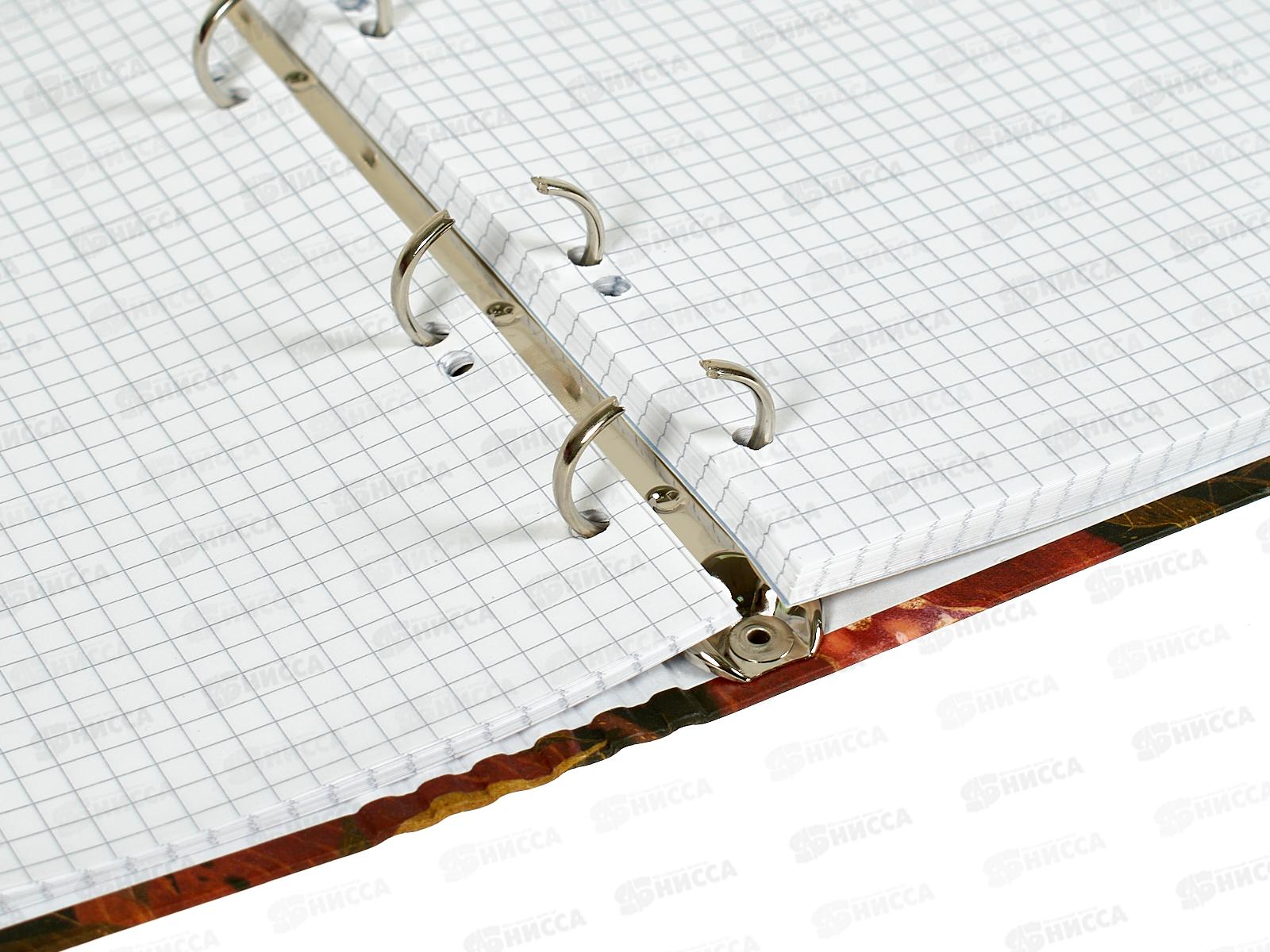 Тетрадь 80л кл. B.V. Flora Гранат  7-80-634/05*4/64