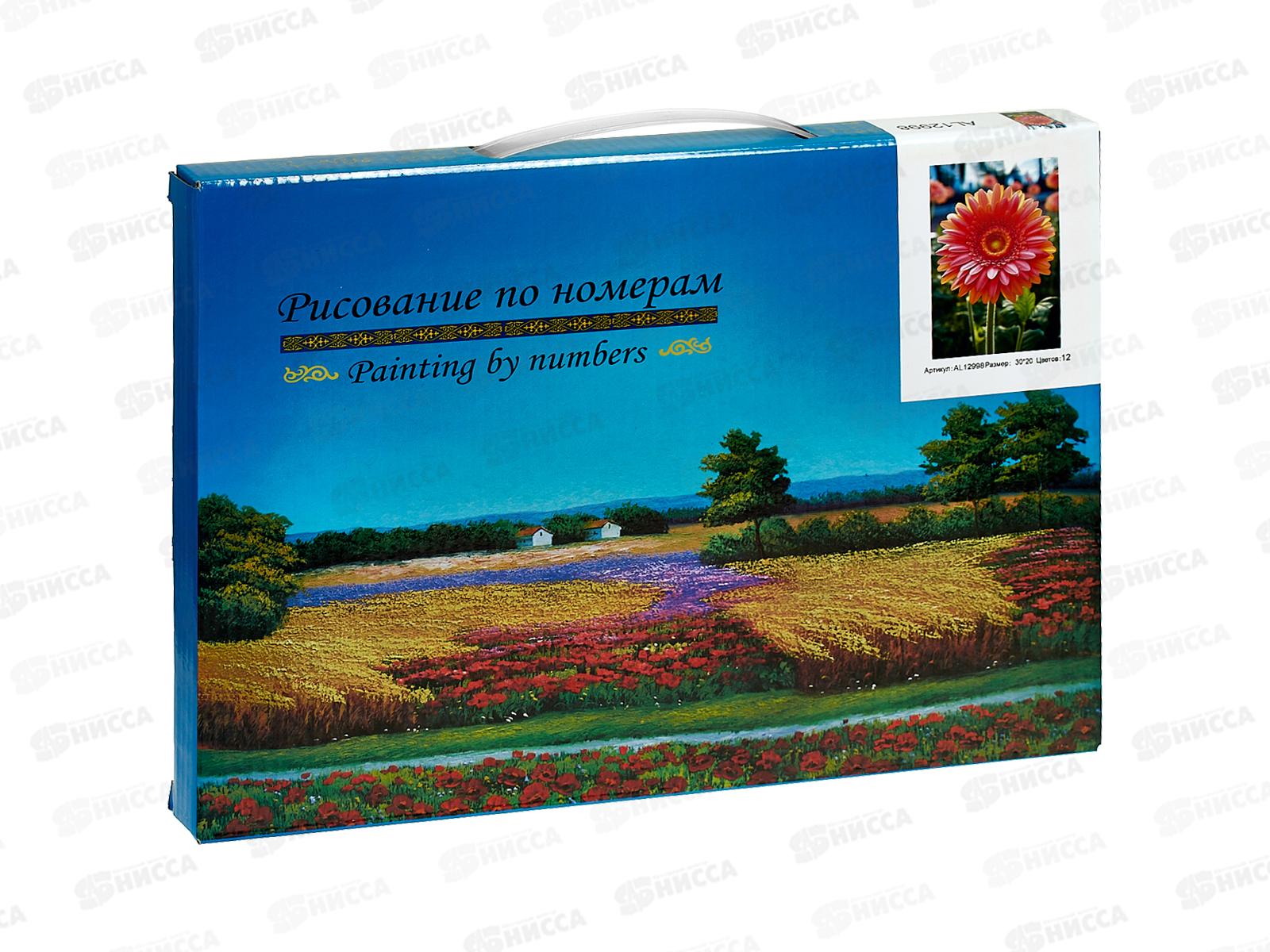 Картина по номерам 20*30 Гербера  АL12998*30