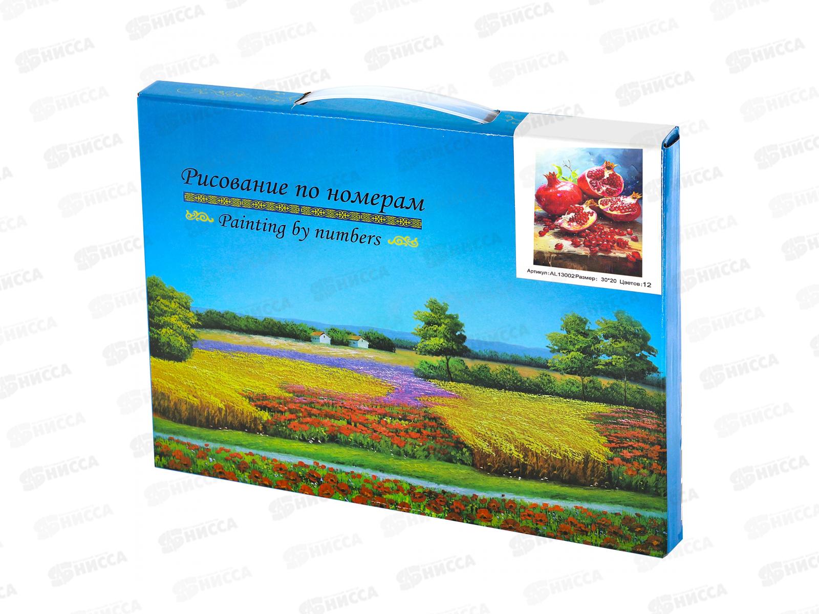 Картина по номерам 20*30 Гранаты  АL13002*30