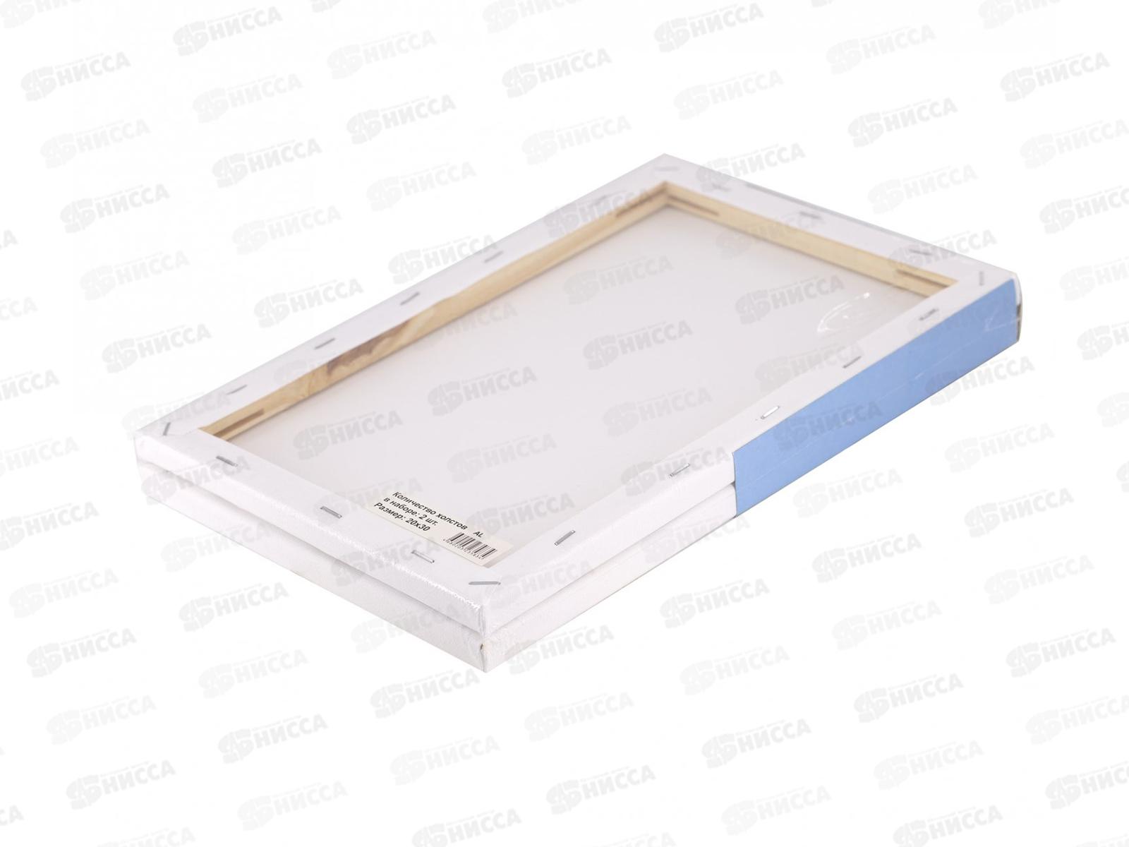 Набор холостов на подрамнике Alingar,2шт,20*30 AL11411