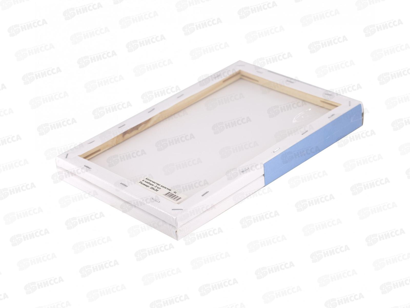 Набор холостов на подрамнике Alingar,2шт,25*30 AL11412