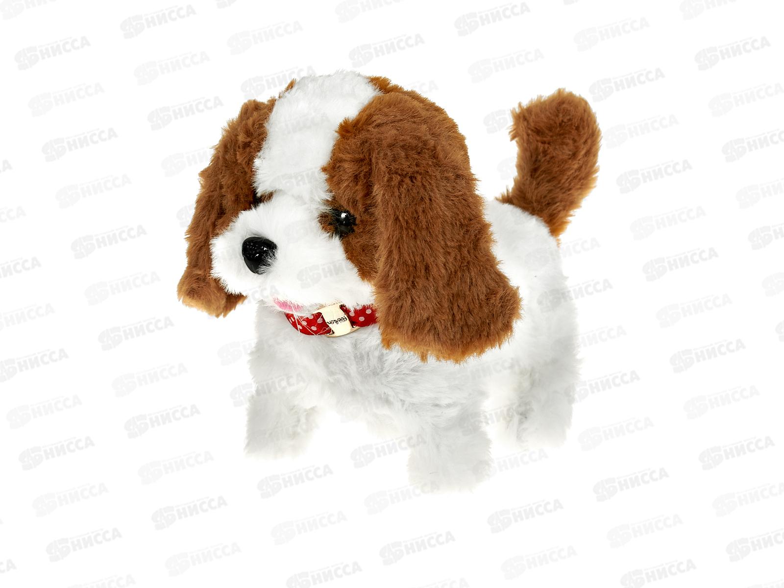 Барсик №G-2D в переноске, ходит, звук, 20*15*22