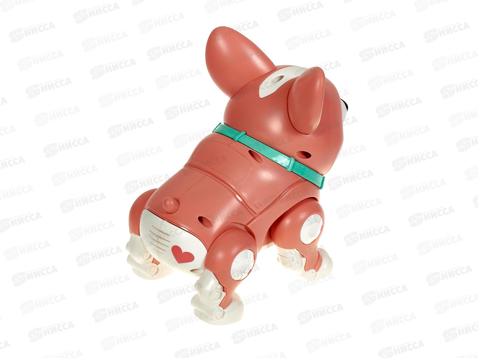 Милый корги №333-9 на батарейках, коробка 19,5*15*19