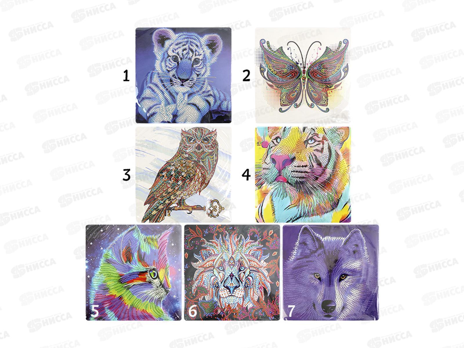 Алмазн.мозаика Darvish асс 20*20,DV-12565*24