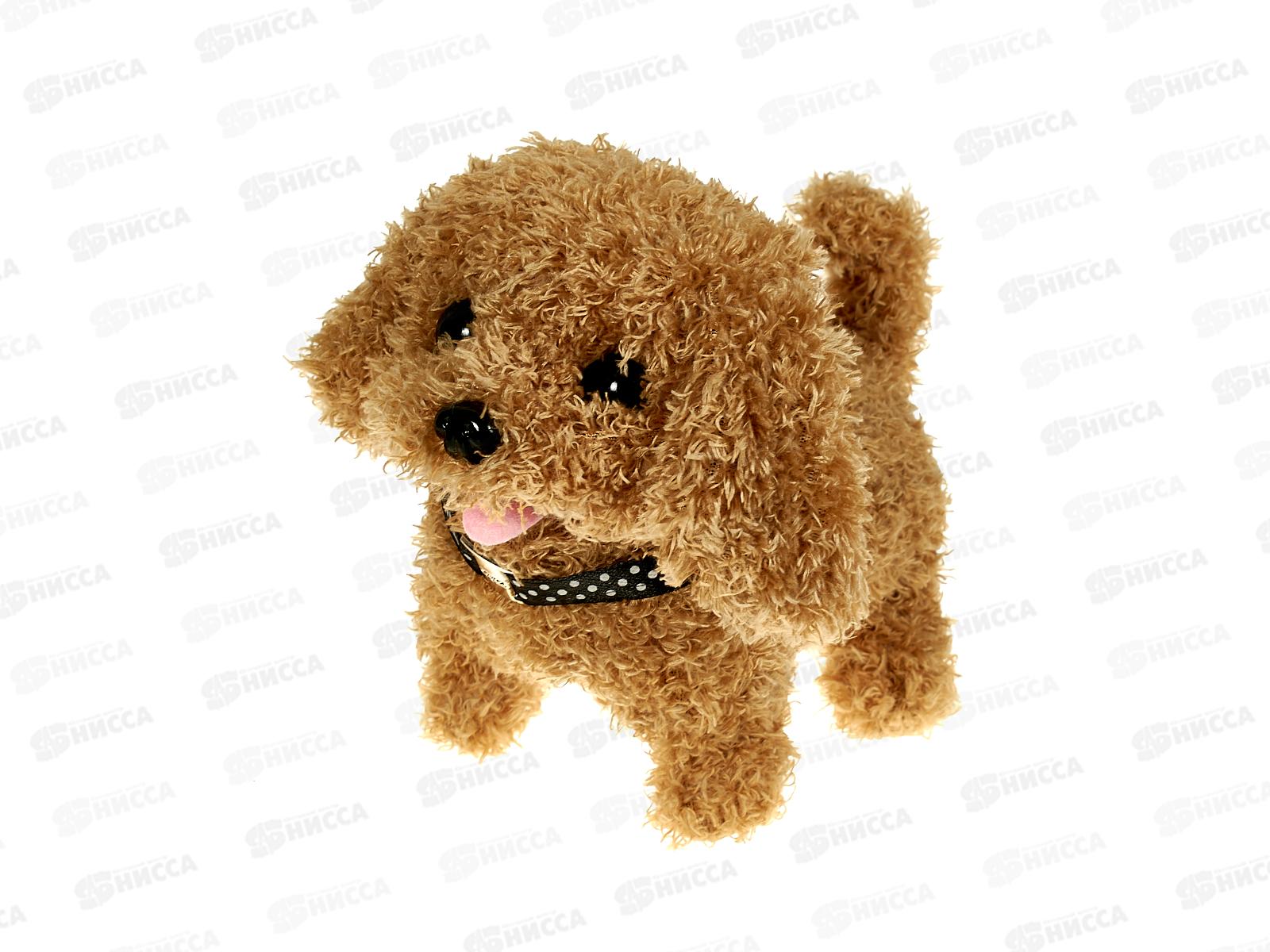 Собачка №810-103 в переноске с аксессуарами, 20,5*12*18