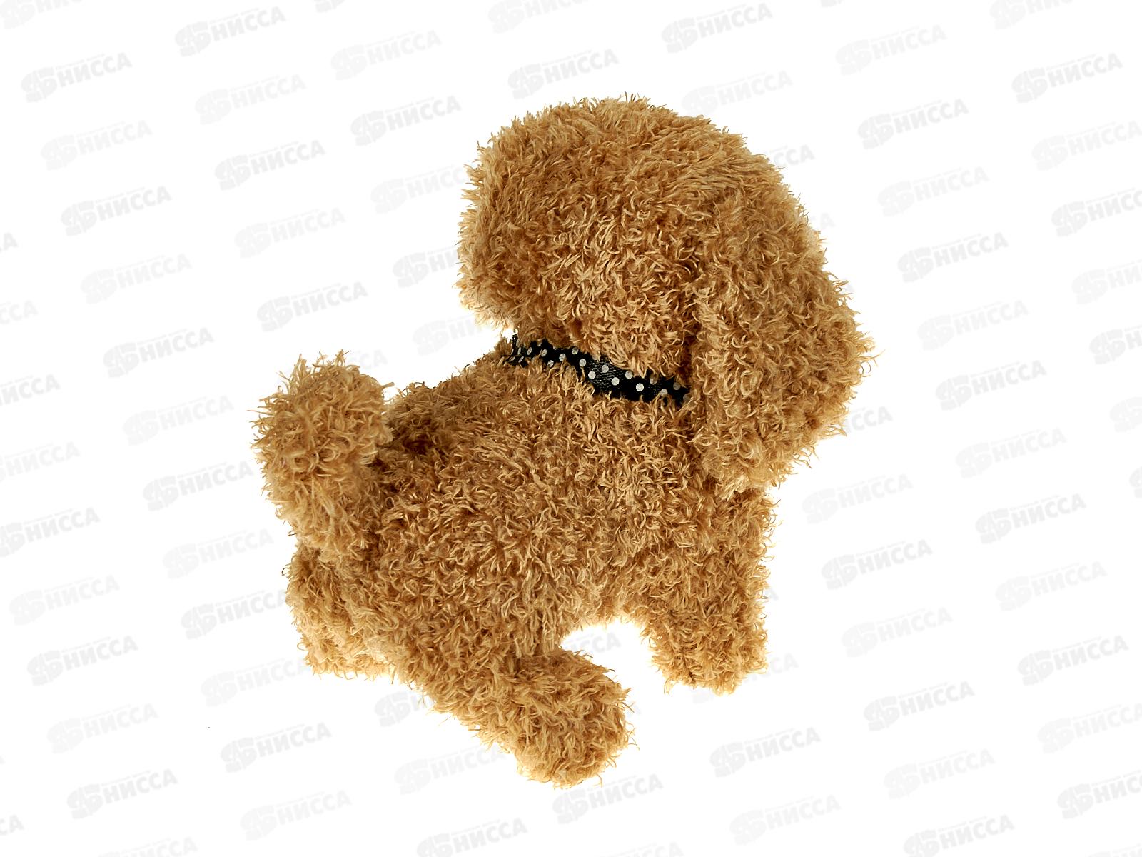 Собачка №810-103 в переноске с аксессуарами, 20,5*12*18