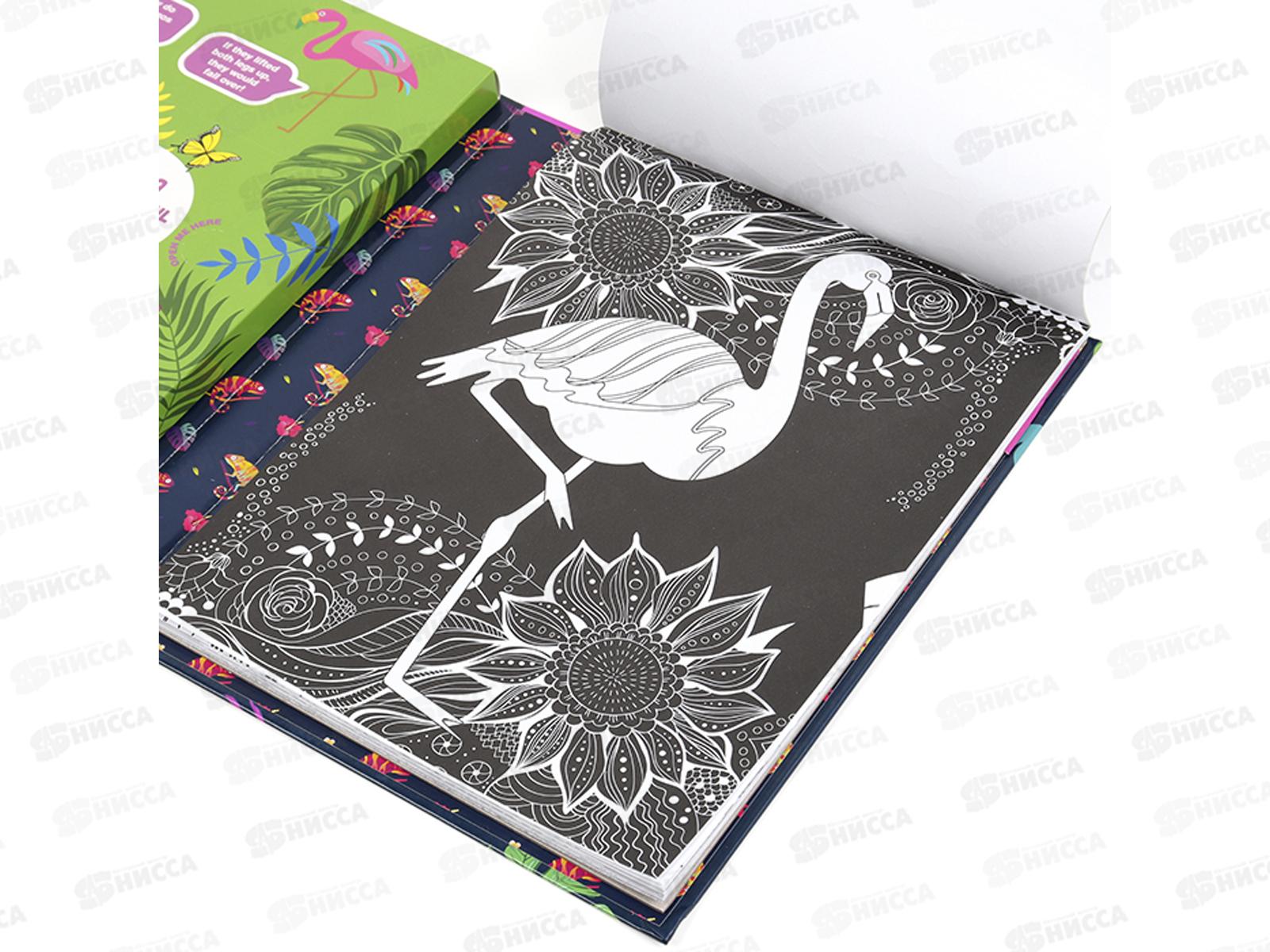 Раскраска+фломастеры 6цв. Darvish  SR-15354 *100