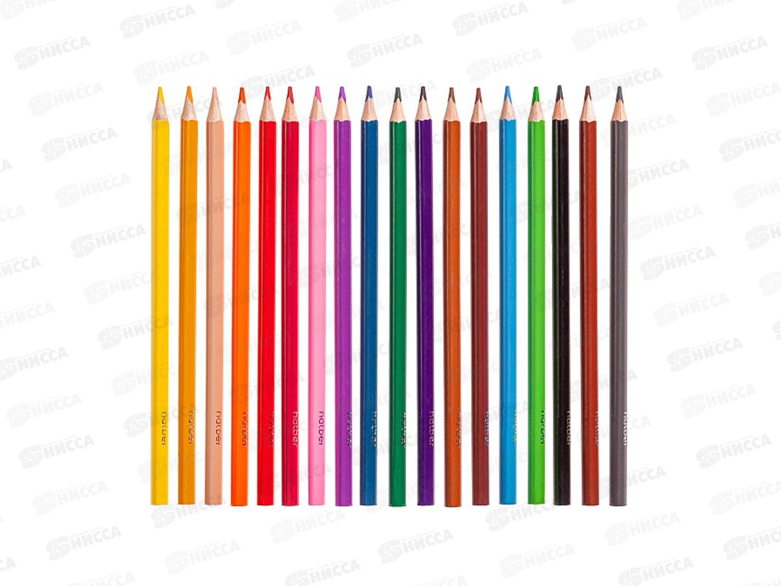 Карандаши 18цв Hatber Плюшевый философ трехгран к/к 094020  *8