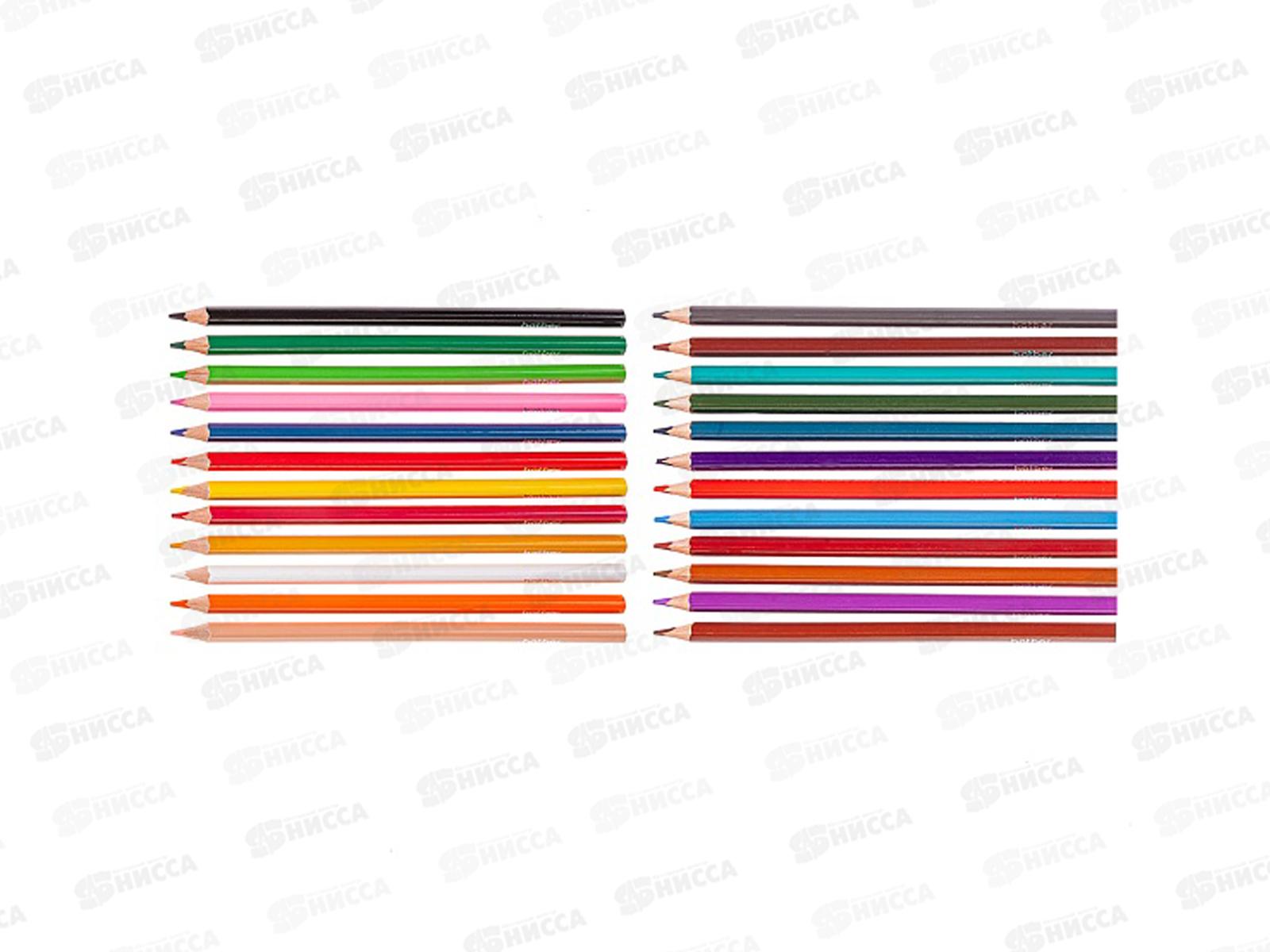 Карандаши 24цв Hatber Плюшевый философ трехгран к/к 094021  *6