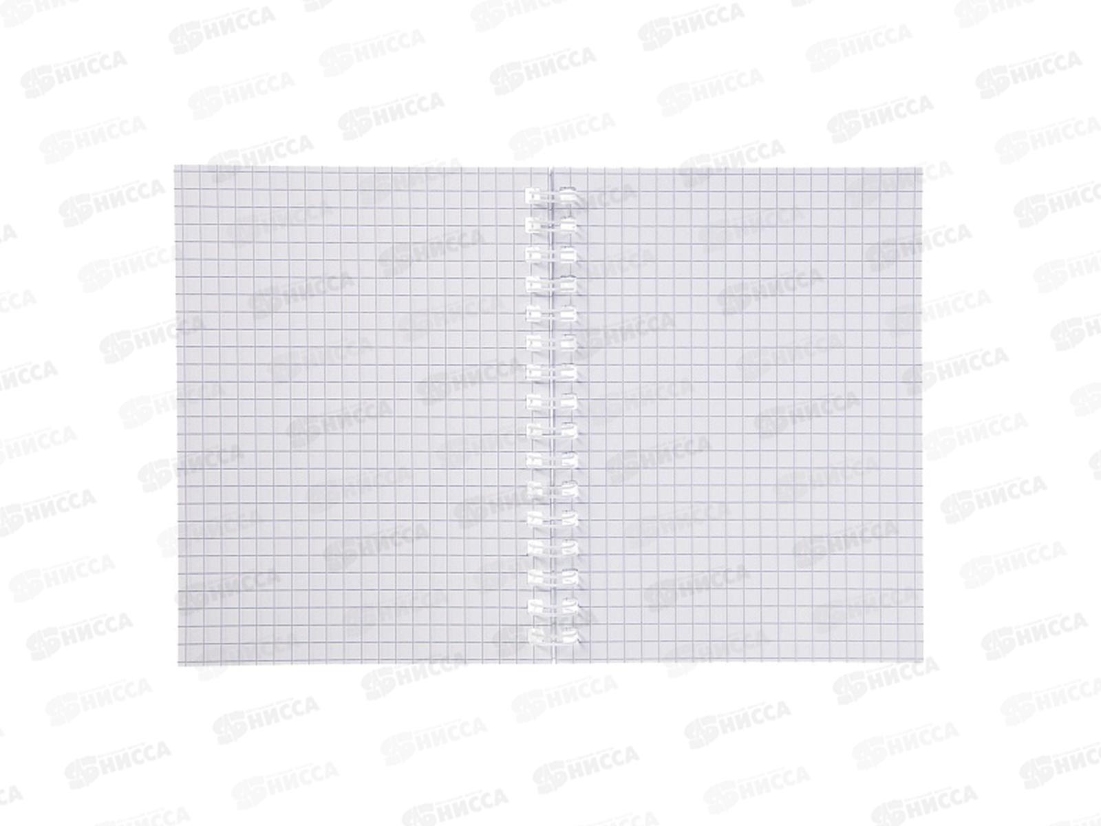 Записн.книжка Hatber А6 80л CANVAS фиолетовая пласт.обл. 05320 *20