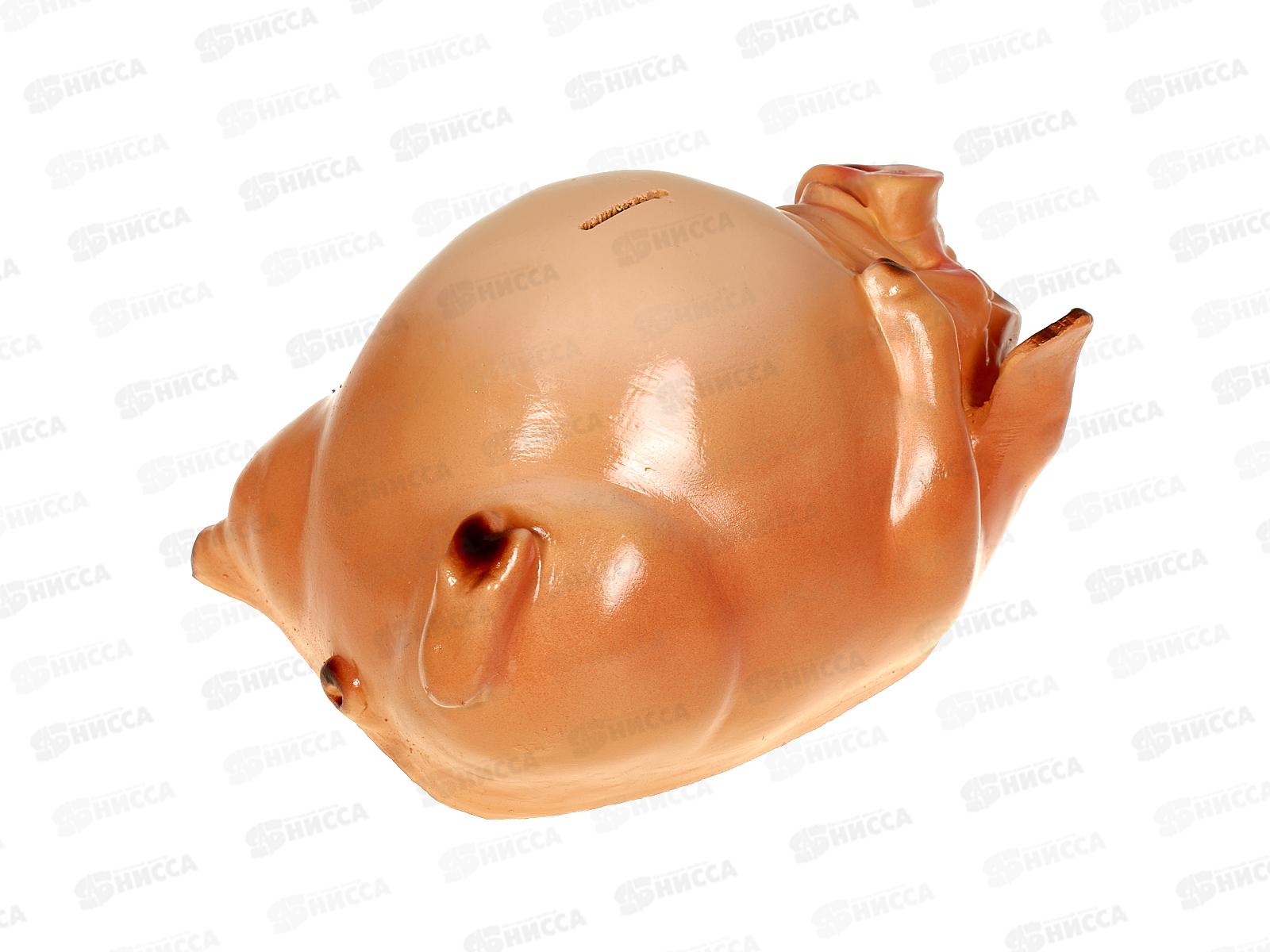 Копилка &quotСвинка на спине&quot (220*250мм) арт.326