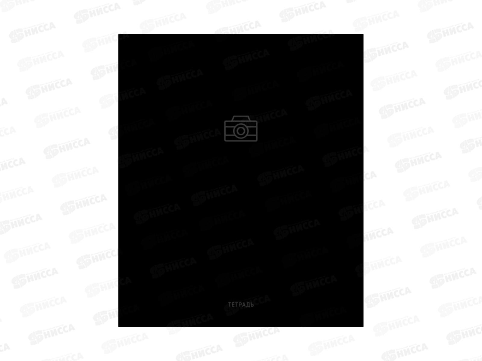 Тетрадь 48л кл. ПЗБМ Код доступа, 020392 *5/50