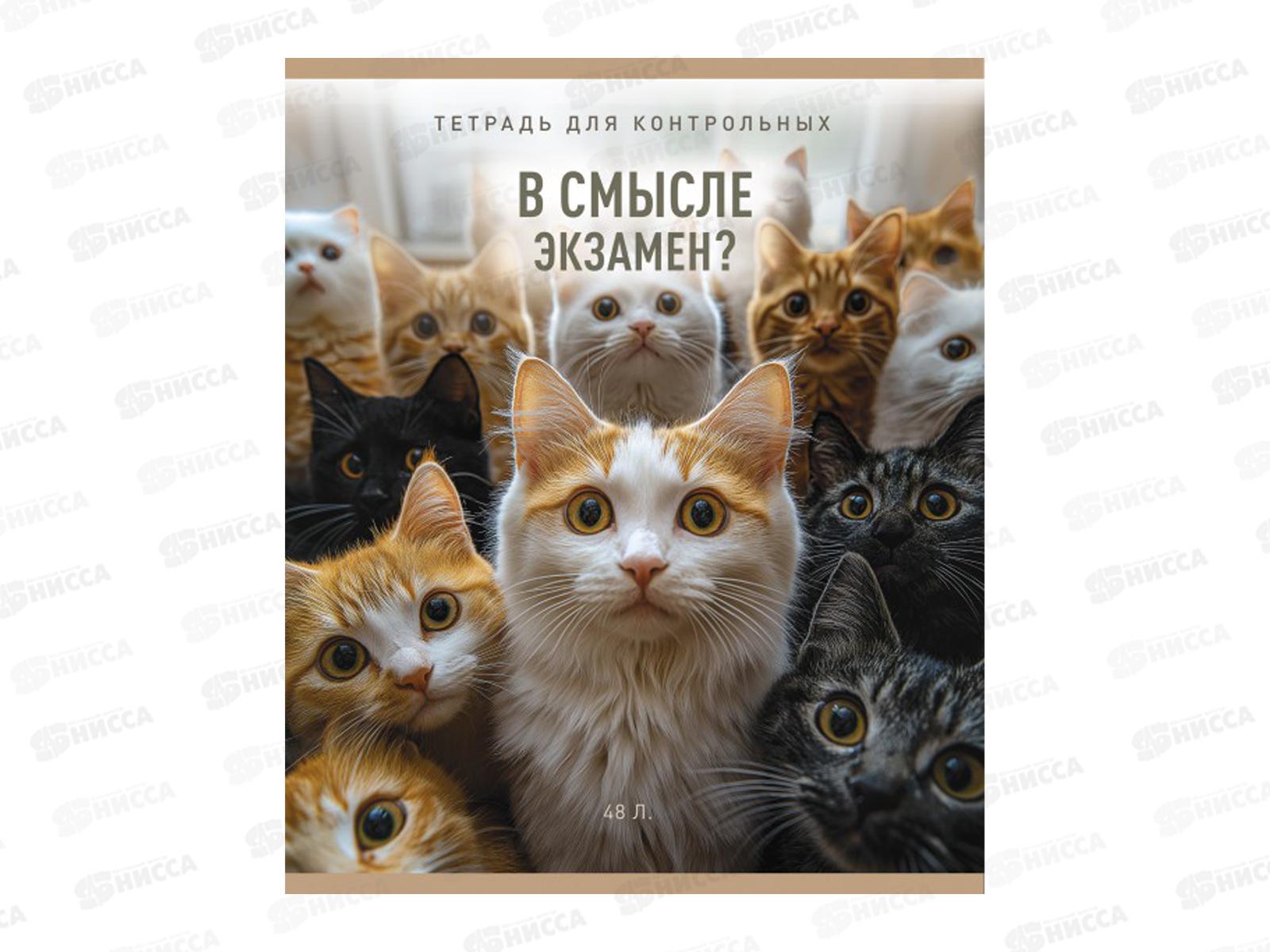 Тетрадь 48л кл. ПЗБМ В смысле? ,  020378 *5/50