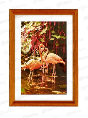 Фоторамка 21*30 клён, 2N92 *12