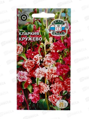 Кларкия Кружево (высокорослая смесь) (Евро, 0,25) СеДек *10 +