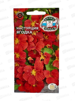 Настурция низкорослая Ягодка  (вишневая) (Евро,1)СеДек +