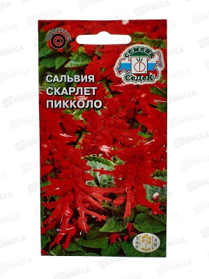 Сальвия Скарлет пиколло  (блестящая, низкорослая, красная) (Евро, 0,2) СеДек *10 +