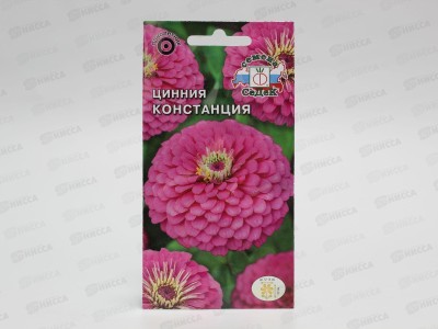 Цинния Констанция  (изящная, пурпурная) (Евро, 0,5) СеДек *10 +