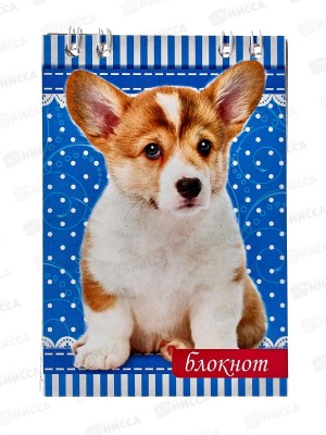 Блокнот 24л ПГС Собаки, 68*98, А7, глит. *24