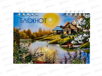 Блокнот120листов ПГС NB Природа, 100*150, лакированный.,на гребне. *6