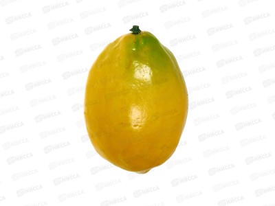 Бутафория лимон (005929)  Ж