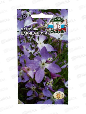 Маттиола Царица Ночи (двурогая) (Евро, 1) СеДек *10 +