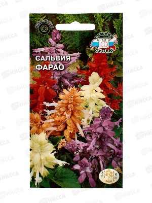 Сальвия Фарао (блестящая, низкорослая, смесь цветов) (Евро, 0,1) СеДек +