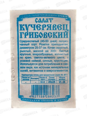 Салат Кучерявец Грибовский (0,5гр белый пакет) ДемСиб*20 +