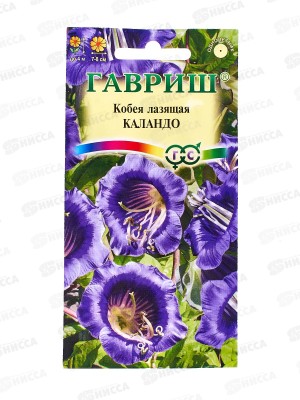 Кобея Лазающая Каландо 5ш  *10 ГШ +