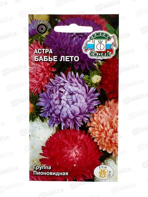 Астра Бабье лето (пионовидная белая) (Евро, 0,2) *10 СеДек +